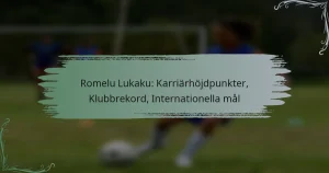 Romelu Lukaku: Karriärhöjdpunkter, Klubbrekord, Internationella mål