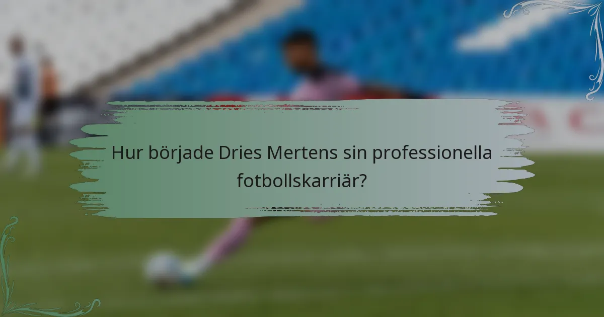 Hur började Dries Mertens sin professionella fotbollskarriär?