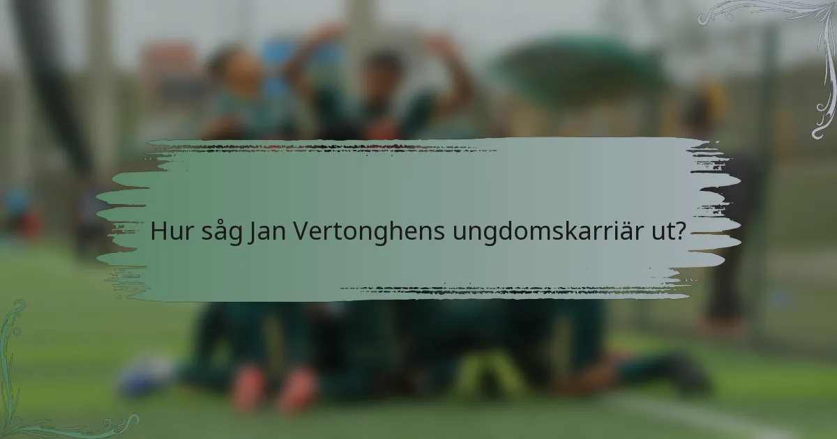 Hur såg Jan Vertonghens ungdomskarriär ut?