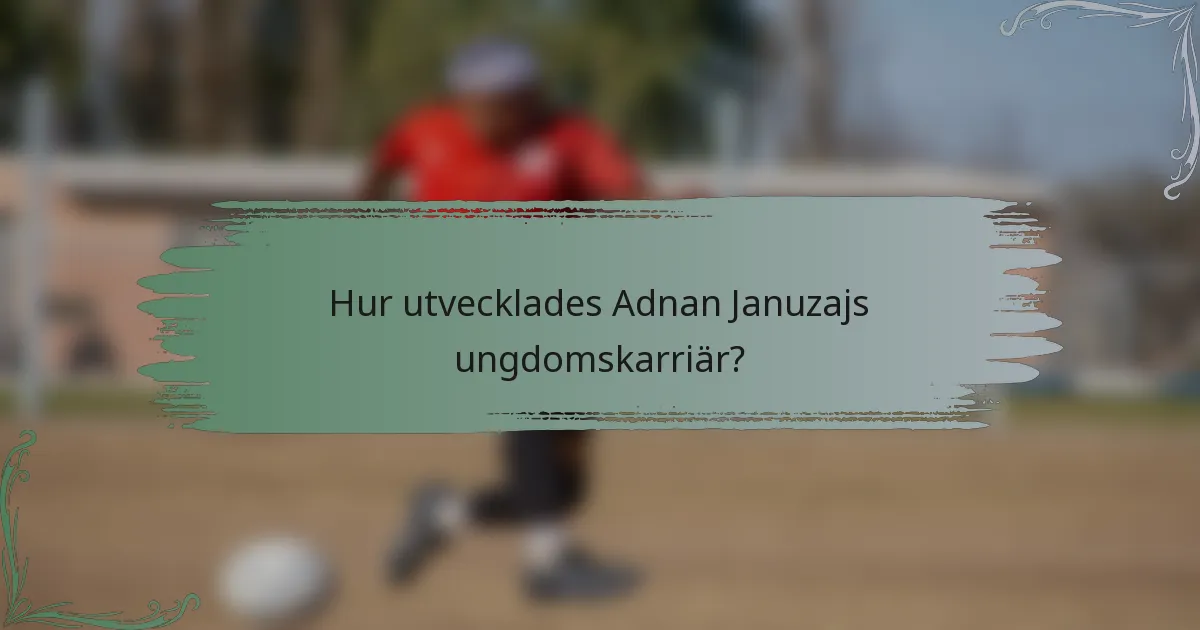 Hur utvecklades Adnan Januzajs ungdomskarriär?