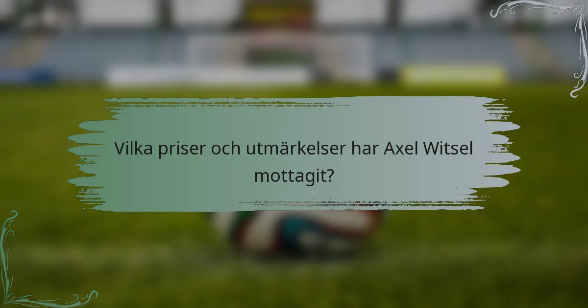 Vilka priser och utmärkelser har Axel Witsel mottagit?