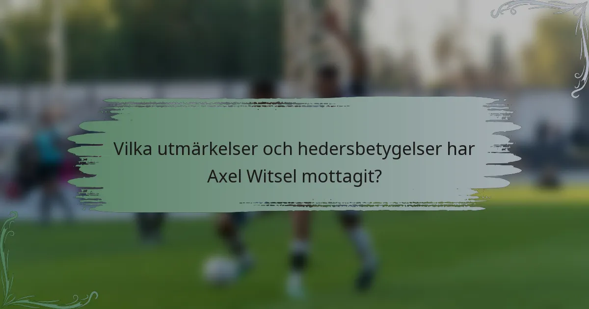 Vilka utmärkelser och hedersbetygelser har Axel Witsel mottagit?