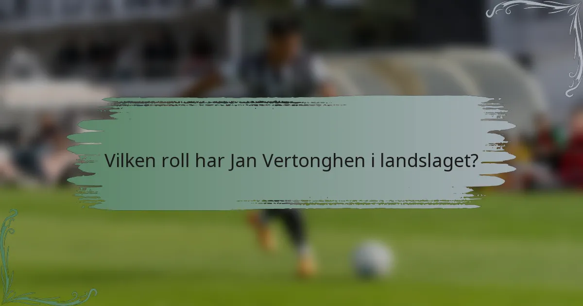 Vilken roll har Jan Vertonghen i landslaget?